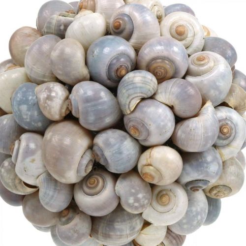 Produkt Kula dekoracyjna ślimaki morskie muszla kula naturalna dekoracja morska Ø19cm