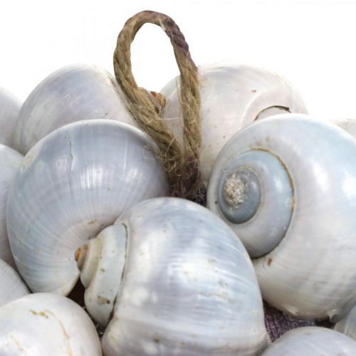 Produkt Kula dekoracyjna ślimaki morskie muszla kula naturalna dekoracja morska Ø19cm