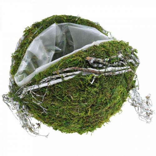 Floristik24 Dekoracja grobu kula winorośl Moss Green, White Washed Ø20cm