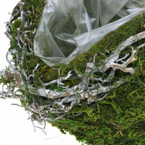 Floristik24 Dekoracja grobu kula winorośl Moss Green, White Washed Ø20cm