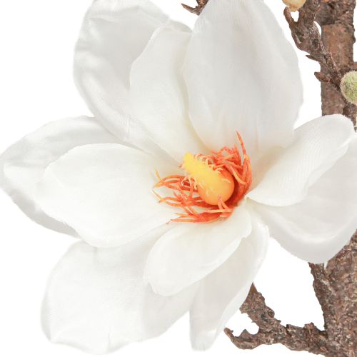 Produkt Sztuczny Kwiat Magnolia Gałązka Kwiaty Ø2–10cm Kremowy Dł. 105cm