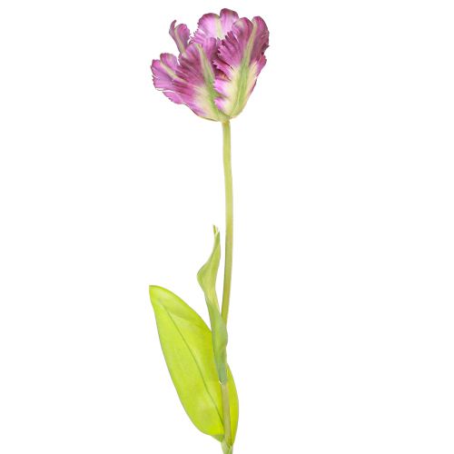 Floristik24 Sztuczny kwiat papuga tulipan Sztuczny dekoracyjny tulipan fioletowy 63cm