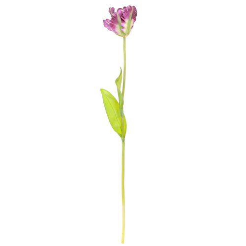 Produkt Sztuczny kwiat papuga tulipan Sztuczny dekoracyjny tulipan fioletowy 63cm