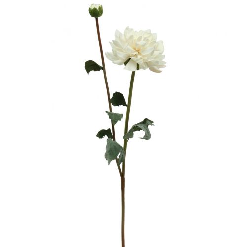 Floristik24 Sztuczny kwiat Dalia Biała Sztuczny kwiat z pąkiem wys.57cm