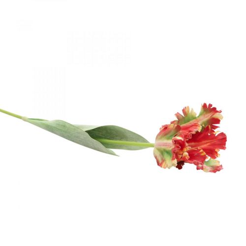 Floristik24 Sztuczny kwiat, papuga tulipan czerwono-żółty, wiosenny kwiat 69cm