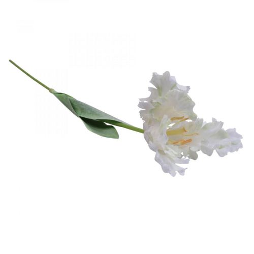 Produkt Sztuczny kwiat tulipan papuga biało zielony, wiosenny kwiat 69cm