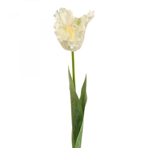 Sztuczny kwiat tulipan papuga biało zielony, wiosenny kwiat 69cm