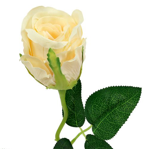 Produkt Kwiaty sztuczne Róża kremowa Ø6cm L50cm 6szt.