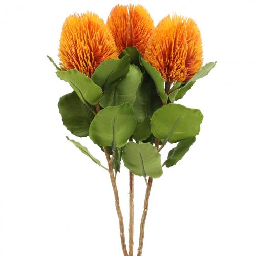 Floristik24 Kwiaty sztuczne, Banksia, Proteaceae Pomarańczowy L58cm W6cm 3 szt