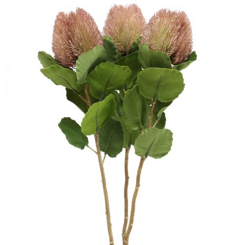 Floristik24 Sztuczne Kwiaty, Banksia, Proteaceae Biało-Fioletowy D58cm W6cm