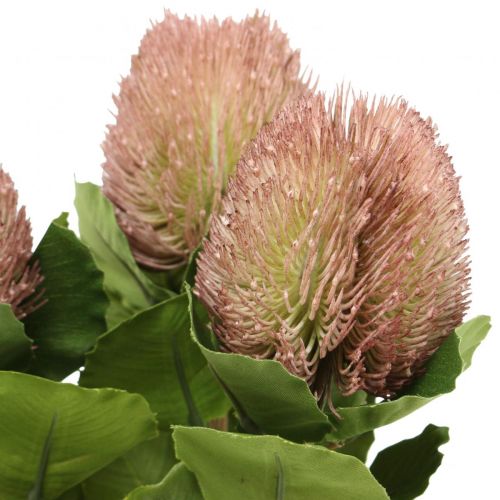 Produkt Sztuczne Kwiaty, Banksia, Proteaceae Biało-Fioletowy D58cm W6cm