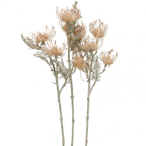 Sztuczne Kwiaty, Poduszkowe Kwiaty, Leucospermum, Proteaceae Myte Białe L58cm 3szt