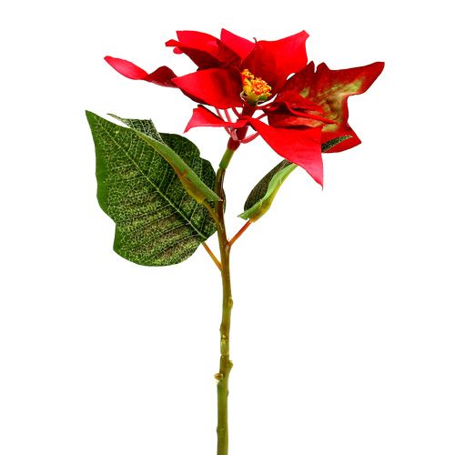 Floristik24 Sztuczne kwiaty poinsecja czerwona L73cm