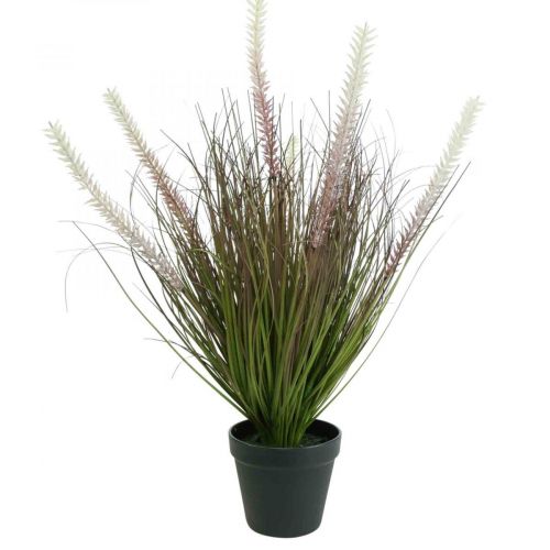 Floristik24 Sztuczna trawa w doniczce Sztuczna roślina z trawy cebulowej wys. 57 cm