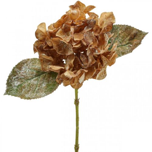 Produkt Sztuczna hortensja wyschnięta Jesienna dekoracja Drylook L33cm
