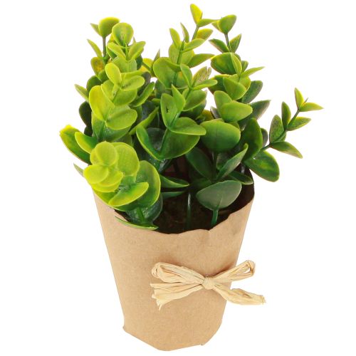 Produkt Rośliny Sztuczne Sztuczny Bukszpan Paproci 15-19cm 4szt