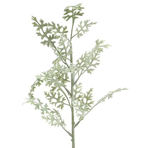 Floristik24 Rośliny sztuczne srebrny liść biało-zielony 40cm 6szt.