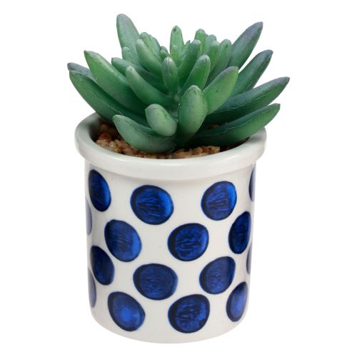 Produkt Rośliny sztuczne sukulenty sztuczna roślina zielona 9-12,5cm 4szt