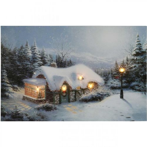Floristik24 Obraz LED Świąteczny zimowy krajobraz z domem Fototapeta LED 58x38cm