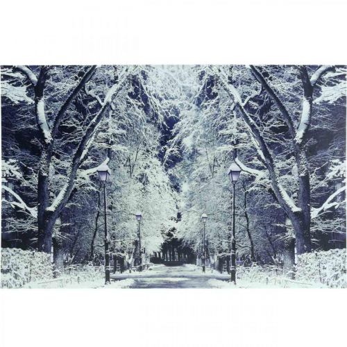 Obraz LED park krajobrazowy zimowy z lampionami Fototapeta LED 58x38cm