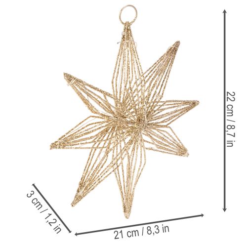 Gwiazda dekoracyjna LED z drutu do zawieszenia, 20 diod LED, ciepła biel, do wewnątrz, 22 cm | Floristik24.pl