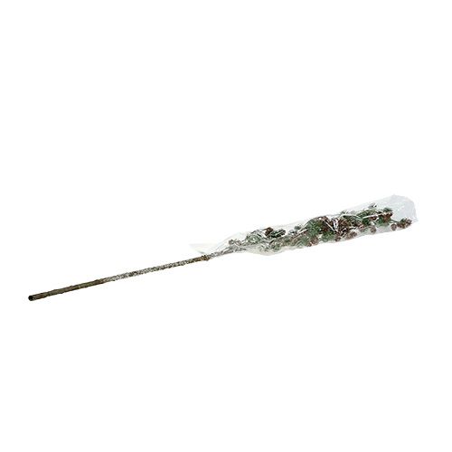 Floristik24 Gałąź modrzewia z szyszkami, ośnieżona 92cm