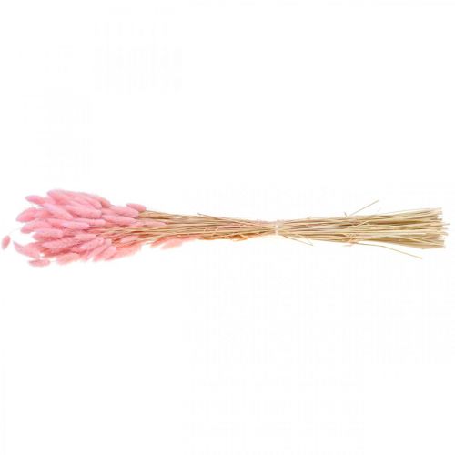 Floristik24 Lagurus suszona trawa z ogona królika jasnoróżowa 65-70cm 100g