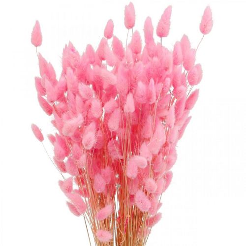 Produkt Lagurus Suszony Ogon Królika Trawa Różowy 65-70cm 100g