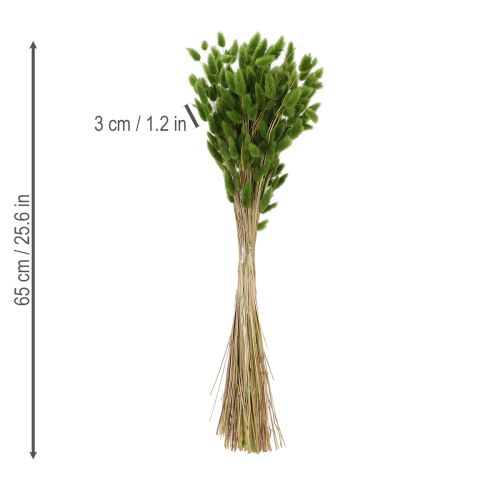 Produkt Suszona trawa Lagurus (zając) 65-70 cm 100 g