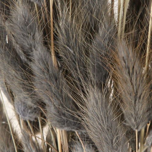 Produkt Lagurus Suszona Trawa Zająca Szara 45-55cm 50g