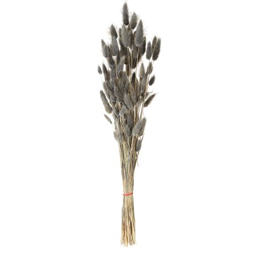 Produkt Lagurus Suszona Trawa Zająca Szara 45-55cm 50g