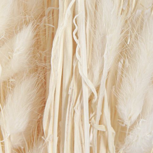 Produkt Suszone Kwiaty Lagurus Naturalne – Puszysta Trawa Króliczego Ogona w Kremowo-Białej 55-70 cm 100g