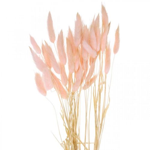 Floristik24 Trawa dekoracyjna różowa, Lagurus, dekoracja naturalna, florystyka sucha L45–50cm 30 sztuk