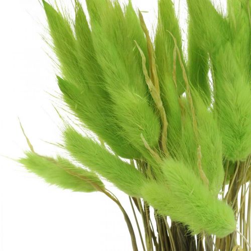 Produkt Aksamitna zieleń traw, lagurus, sucha dekoracja, suszona słodka trawa L18-50cm 25g