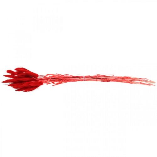 Produkt Trawa ozdobna czerwona, lagurus, trawa aksamitna, florystyka sucha L30–50cm 20g