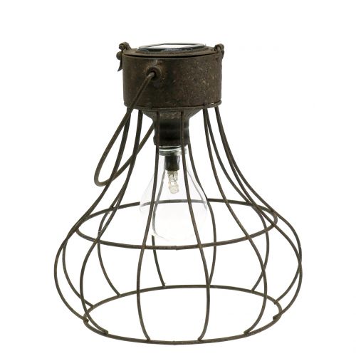 Floristik24 Deco Lampa Solar Ø23,5cm H24cm