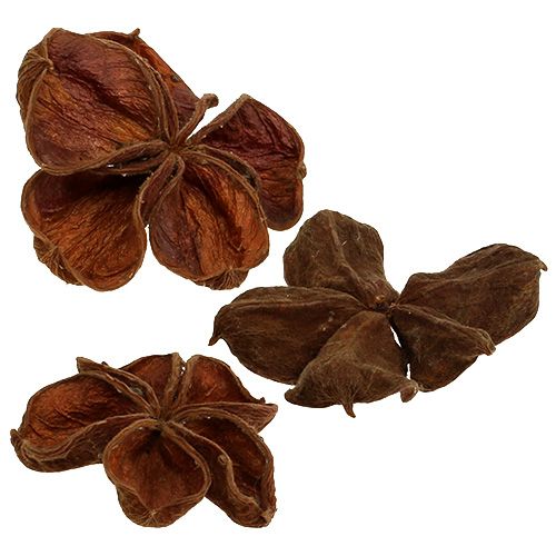 Produkt Landlotus Natura 50 szt
