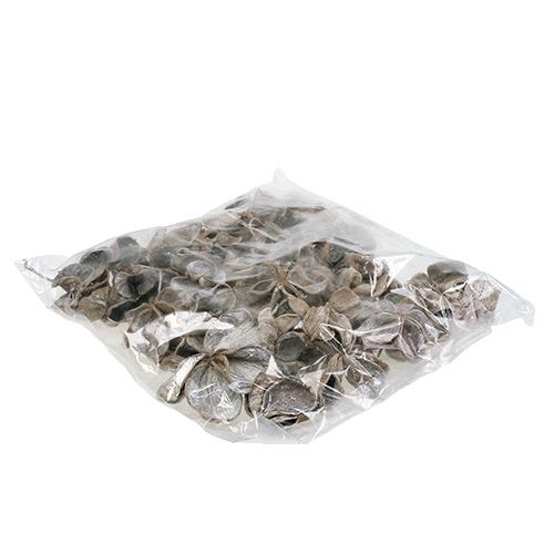 Produkt Landlotus biały myty 6-12cm 50 szt