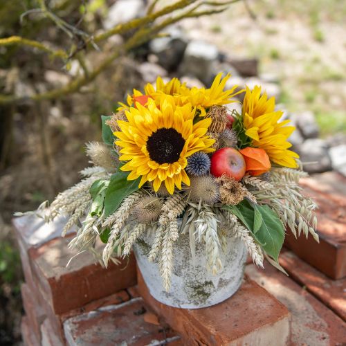 Floristik24 Słonecznik długoszypułkowy żółty 53cm