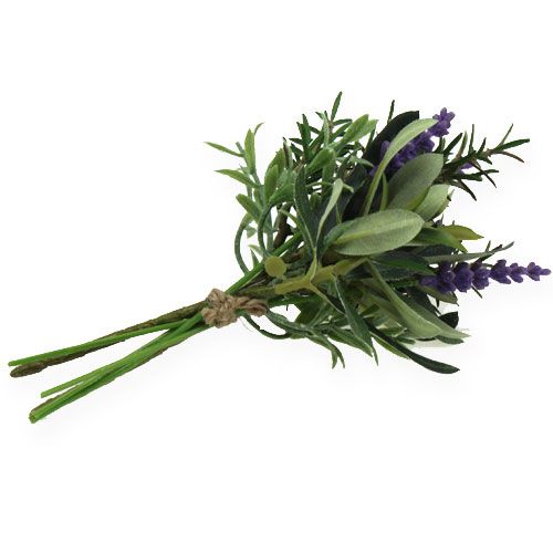 Floristik24 Lawenda rozmaryn pęczek 20cm