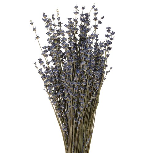 Produkt Suszone kwiaty lawendy dekoracja naturalna 100g 40cm 100g × 2szt