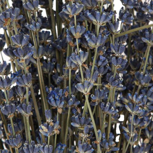 Produkt Suszone kwiaty lawendy dekoracja naturalna 100g 40cm 100g × 2szt