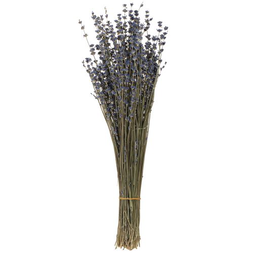 Floristik24 Suszone kwiaty lawendy dekoracja naturalna 100g 40cm 100g × 2szt