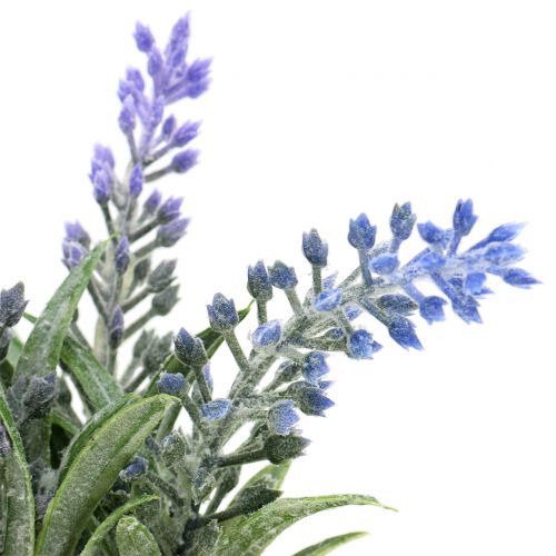Floristik24 Lawenda w słoiczku wys.15cm