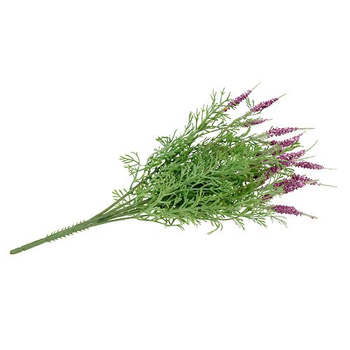Floristik24 Krzew lawendy fioletowy 43cm