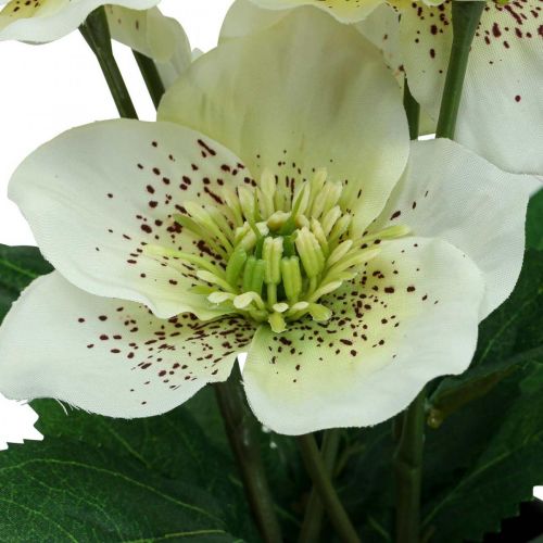 Floristik24 Wielkopostna róża Hellebore Świąteczna doniczka na róże sztuczne kwiaty wys.25cm biała