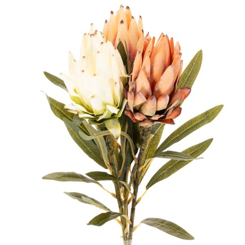 Sztuczny kwiat Protea Leucadendron na długiej łodydze, 65 cm, 3 sztuki kupić | Floristik24.pl
