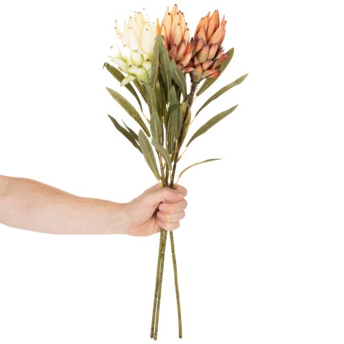 Sztuczny kwiat Protea Leucadendron na długiej łodydze, 65 cm, 3 sztuki | Floristik24.pl