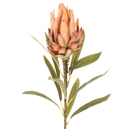 Sztuczny kwiat Protea Leucadendron na długiej łodydze, 65 cm, 3 sztuki | Floristik24.pl