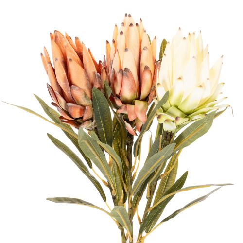 Sztuczny kwiat Protea Leucadendron na długiej łodydze, 65 cm, 3 sztuki | Floristik24.pl